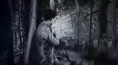 Do kin vstoupili Králové Šumavy. Film vypráví příběh tajemného hrdiny