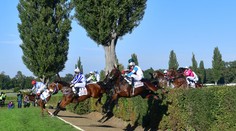 Skrytý hrdina Velké pardubické! Stíhačku outsidera obdivuje i bývalý vítěz