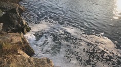 Bečva je opět kontaminovaná, pěnu na hladině způsobily dusitany