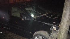Napodruhé muž policistům neujel, zastavil ho strom a výstřel! VIDEO