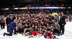 Calder Cup vyhráli Grand Rapids. Výhru řídili Češi Frk s Noskem!