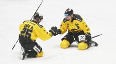Kaše spasil Litvínov a trefil se poprvé od ledna. Hudáček z Třince dal hattrick