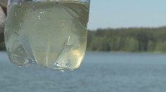 Na řadě přírodních koupališť je závadná voda. Lidem hrozí zdravotní problémy