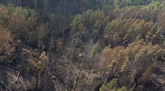 Vrtulníky opustily České Švýcarsko. Hasiči chtějí oheň zlikvidovat do pátku