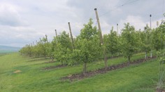 Změny v pojištění pro zemědělce. Stát by přispěl více, navrhuje ministr