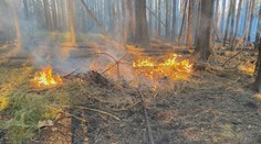 Hasiči měli kvůli horku dvakrát víc výjezdů. Hořely lesy, domy i auta