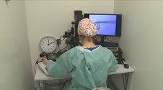 Omezení odměn i počtu odběrů. Vláda chystá změny v umělém oplodnění