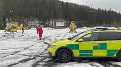 Na muže ve středních Čechách spadl strom. Na místě zemřel
