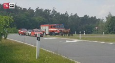 Na dálnici D11 stála nekonečná kolona. Mohli za to koně!