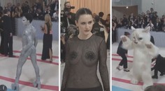 Celebrity na letošním Met Gala šokovaly: Odhalená prsa i kostým kočky