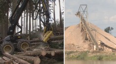VIDEO: Obnovení těžby písku má zlikvidovat další lesy! Lidé i úřad se brání