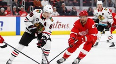 Ameriku trápí koronavirus. NHL hlásí dalšího nakaženého, NBA vyléčeného