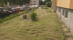 V Jihlavě přetrvává problém se sečením trávy. Obyvatelé s tím raději začali sami