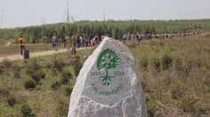 Česko hledá nejkrásnější alej, na hlasování máte poslední den