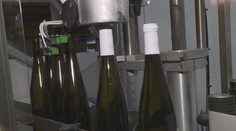 Koalice znovu projedná zavedení daně na tiché víno. Státu by přinesla miliardy