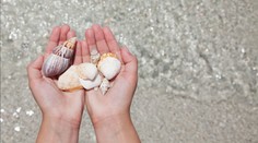 Čech sebral na pláži v Egyptě mušli. Nikdy nedělejte stejnou chybu, varuje turisty