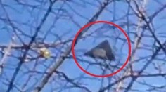 ZÁHADY a UFO: Podívejte se, co nás zmátlo v roce 2012