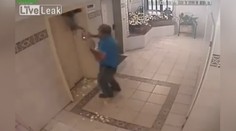 Děsivé VIDEO: Výtah málem zabil psa, smrti unikl o vteřiny
