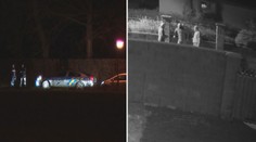 Gang nebo ne? Policie stále neví, kdo má na svědomí vykradené domy