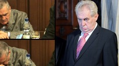 Schwarzenberg spí ve Sněmovně, Zeman vrávorá na Hradě. Dělají nám ostudu, zuří Češi