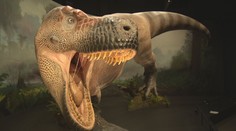Vědci vrátí dinosaury na planetu Zemi. Bude to dřív, než si myslíte