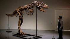 Unikátní kostra dinosaura je na prodej za miliony dolarů