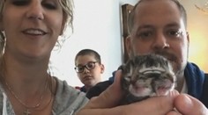 Zrůdná krása: Kotě se narodilo se čtyřma očima a druhou tváří