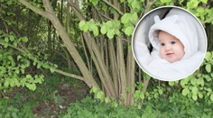 Zrůdy z Litomyšle: Roční holčičku hodili do křoví a šli do hospody!