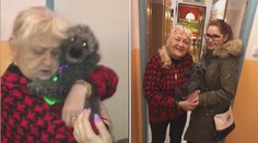 Šťastný konec pátrání! Seniorce z Pardubic vrátili ukradeného psa