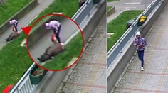Grázl praštil stařenkou o zem a vytrhl jí kabelku. Pomozte ho najít