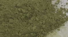 Opatřit si kratom už nebude tak snadné. Vláda chystá zpřísnění podmínek