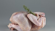 70 % kuřat má v sobě arzen, který způsobuje rakovinu, tvrdí vědci!