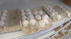 Na vaší straně: Koupit v obchodech plato vajec bez poškození je někdy malý zázrak