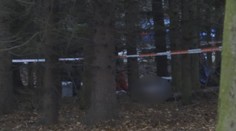 V lese u Prahy našli mrtvou ženu. Její tělo prý táhli jako pytel brambor
