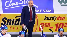 Modrý končí v hokejových Budějovicích. Týmu pomůže i bývalý útočník Novotný