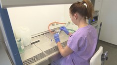 Plošné testování v Uherském Hradišti. Starosta se opřel do Prymuly