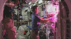 Vesmírná hostina: Astronauti v kosmu vypěstovali římský salát!