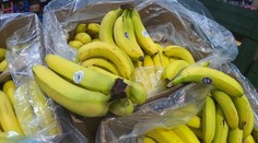 Kontrola supermarketů na Moravě: V Mohelnici příjemně překvapili