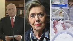 Amnestie, přímá volba hlavy státu, paterčata. I to byl rok 2013