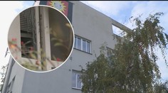 Lupiči měli svázat hlídače a zajímat se o trezor! Policie o případu mlčí