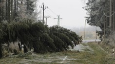 Bouře Otto zasáhla Evropu. Vítr přerušil elektřinu tisícům domácností