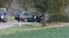 Auto najelo u Vlašimi do stromu. Řidič zemřel, děti odvezly vrtulníky
