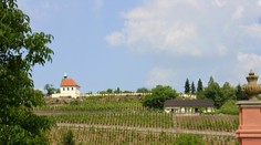 Botanická zahrada hl. města Prahy ožije vinobraním