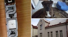 SUPER NABÍDKA: Stát se levně zbavuje majetku! PŘEHLED