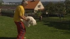Pil jedovatou vodku. Život mu zachránil jeho pes
