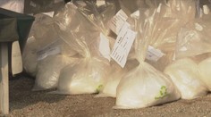 Evropané si oblíbili kokain a konopí. Způsoby jejich pašování se stále vylepšují