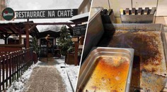 Plíseň a nepořádek. Oblíbená restaurace v Brně vařila v otřesných podmínkách