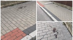 Auto srazilo na Zbraslavi ženu, podle policie to byl úmysl!