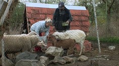 Výměna manželek: Dítě v 15 letech a trauma ze zvířecí farmy