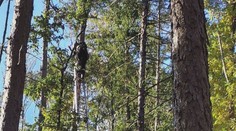 Let hrůzy: Paraglidistka skončila na stromě, muže odvezli na chirurgii